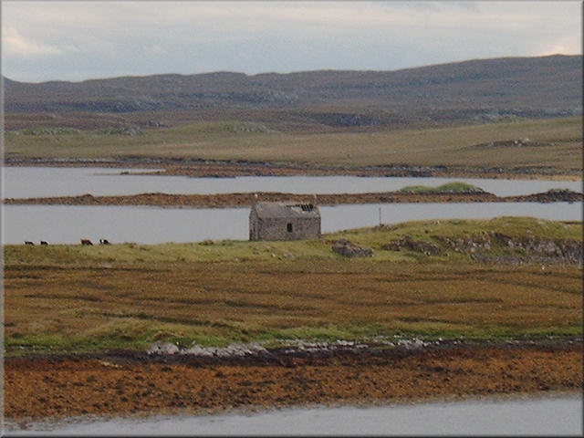 50LewisAltesHaus